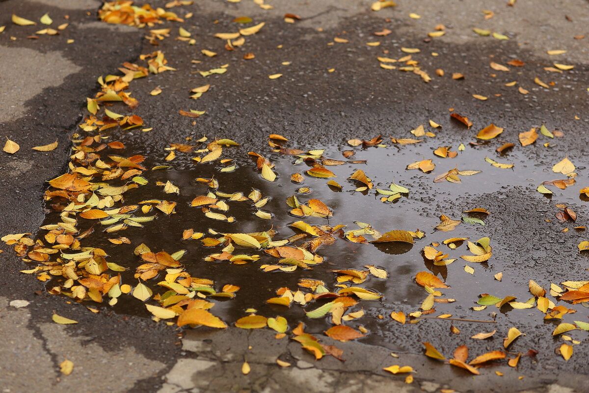 Осень - Юрий Гайворонскiий