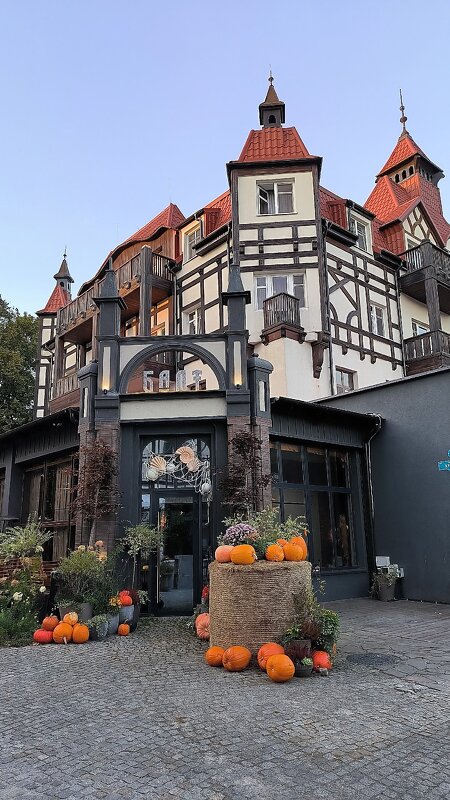 Зеленоградск в осеннем убранстве. - Ольга 