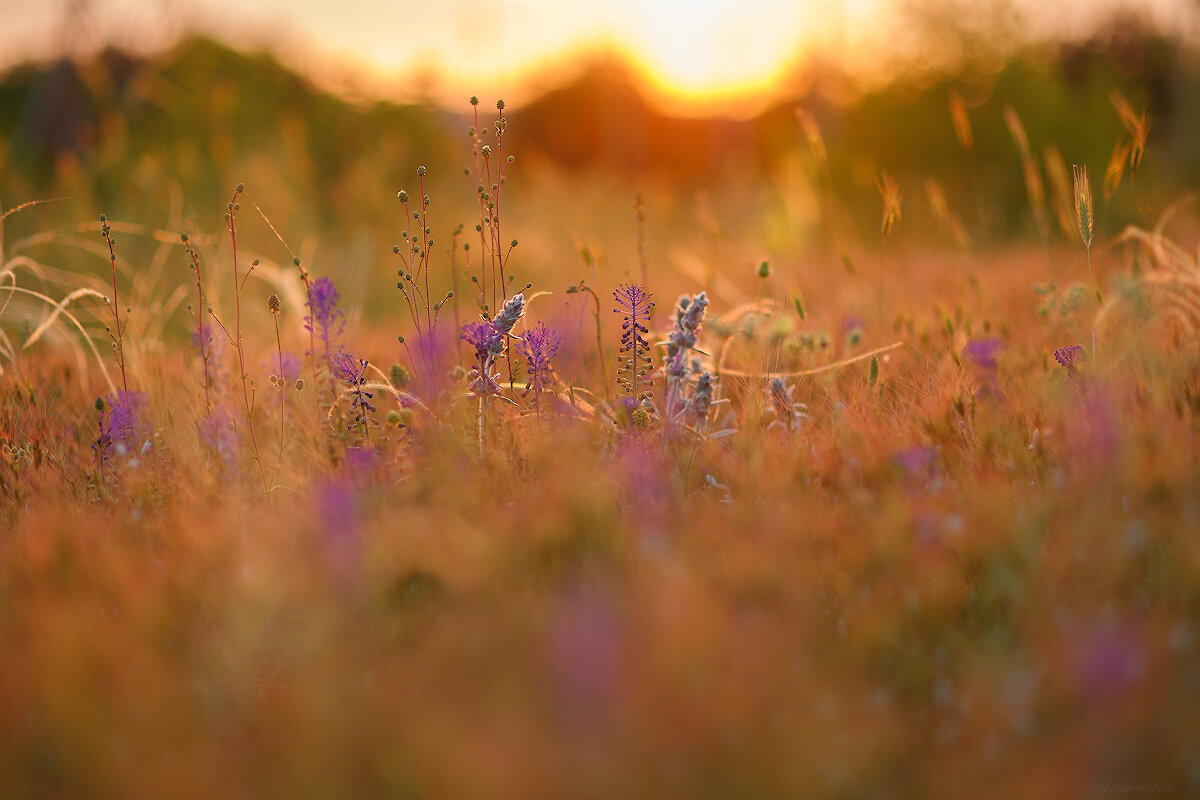 *** - Иваннович *