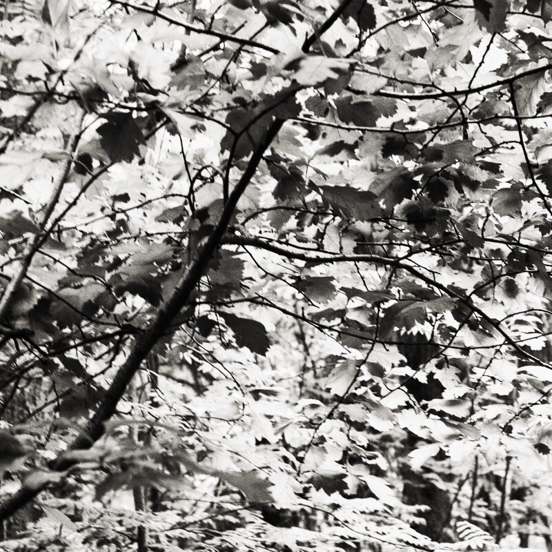 Фотография - Денис Безногов