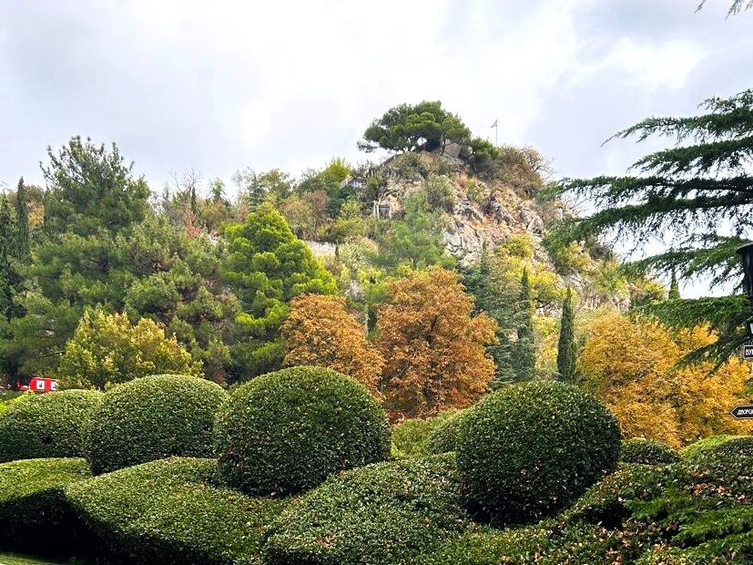 Природа - Наталья 