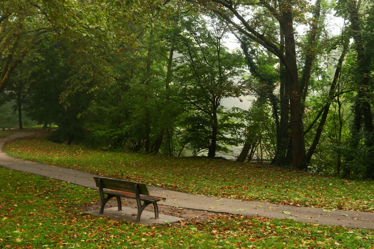 Осенняя скамейка - Юрий. Шмаков Осенняя скамейка - Юрий. Шмаков