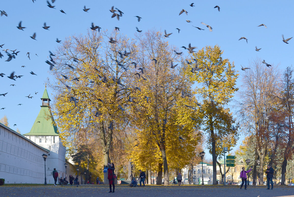 Сергиев Посад - Ольга 