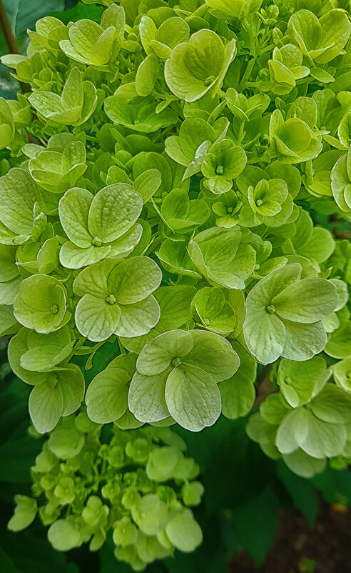 ... - Наталья 