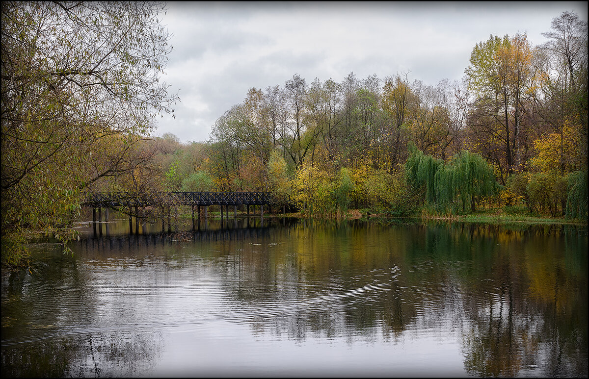 Один день осени - Серый Один день осени - Серый
