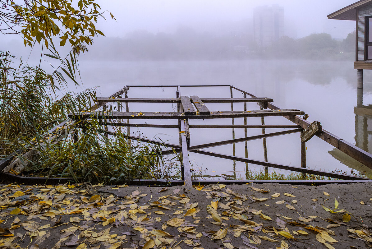 Туман 3 - Игорь Протасов