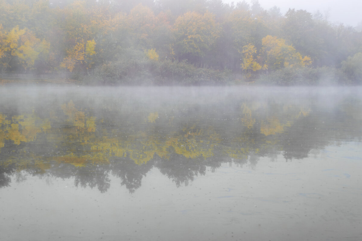 Туман 5 - Игорь Протасов