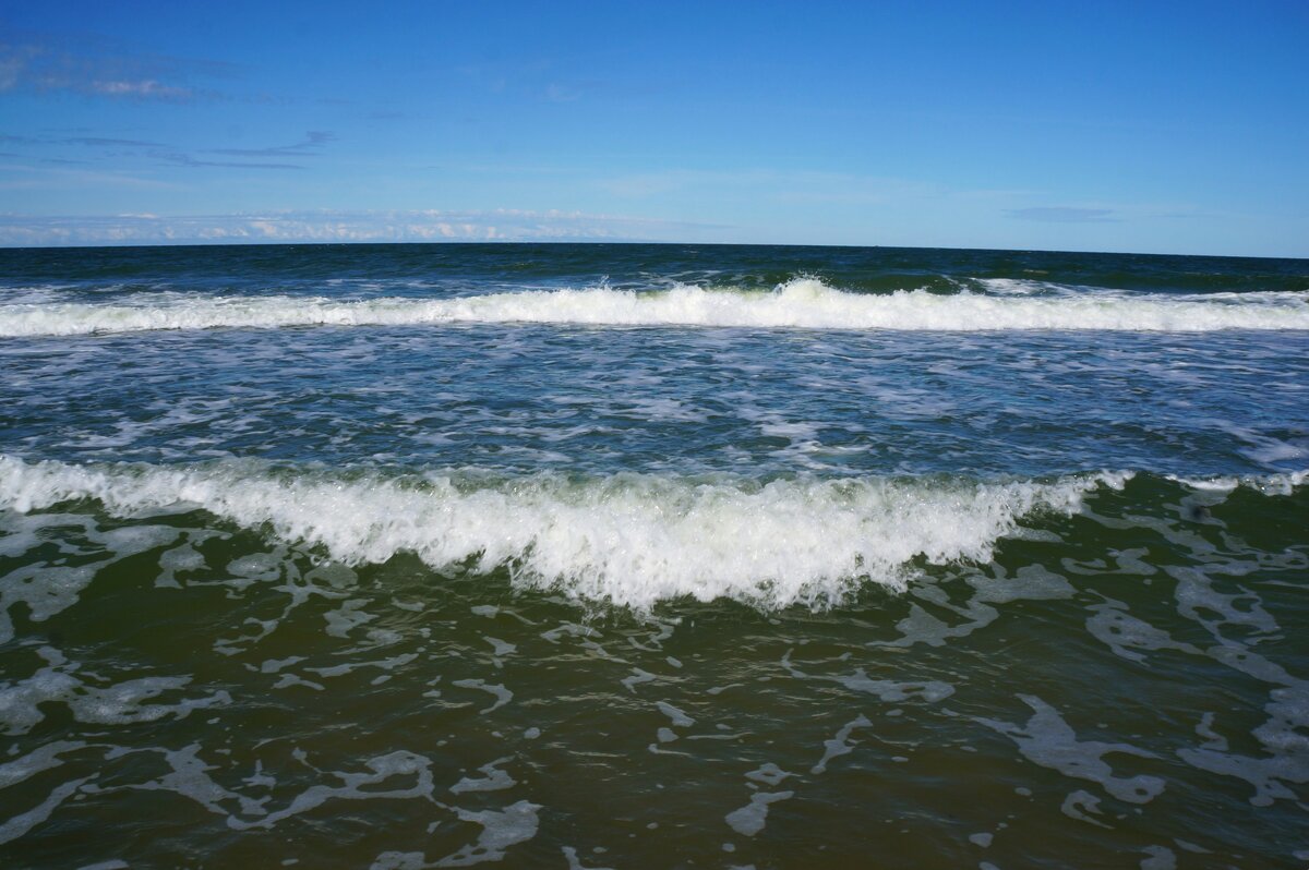 ~~~~~   ~~~   ~~~~~ - Алёна Савина