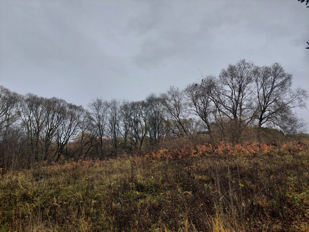 волна - Артём 