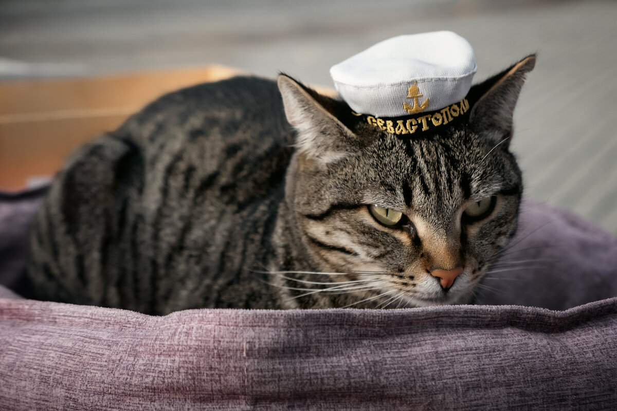 Мурка Севастопольская - Александр 