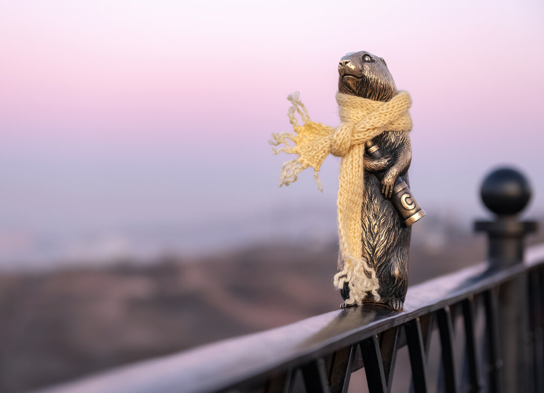 Страж - Марина Фомина.