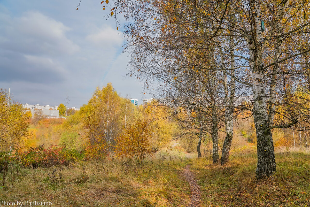 Московская осень... - Владимир Жданов