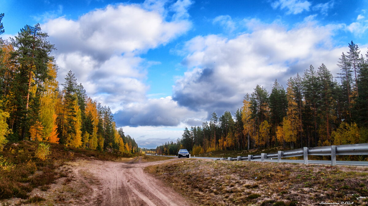 Дорога в осень - Ольга Cоломатина