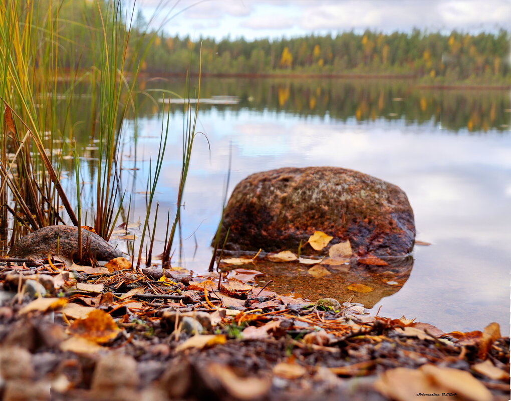 Ламбушка - Ольга Cоломатина