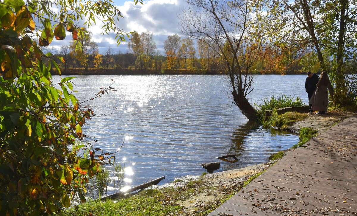 Усадьба. Осень. - tatiana 