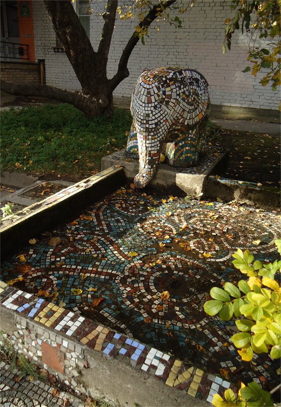 Молчаливы и скромны Петербургские слоны - sv.kaschuk 