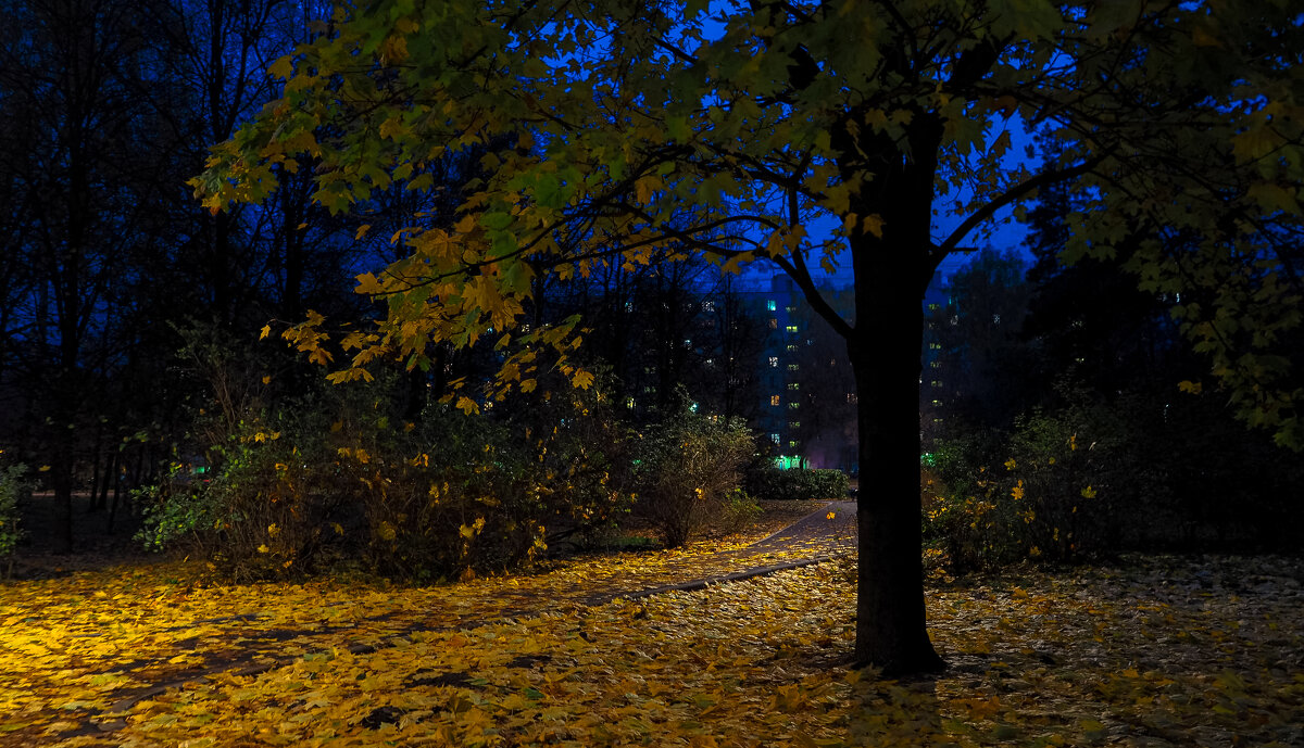 Осенний Вечер в Городе - юрий поляков