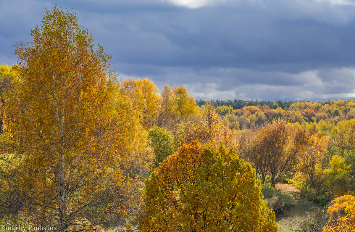 Палитра октября... - Владимир Жданов