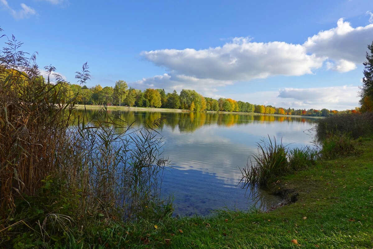 Куда ни глянь – осенних красок буйство,. Кругом опавших листьев аромат... - Галина 