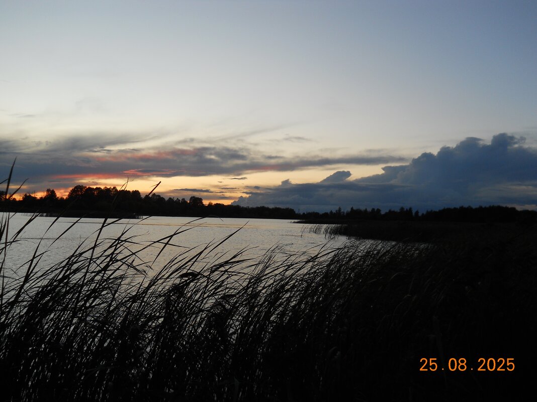 закат - fogmeadowww m