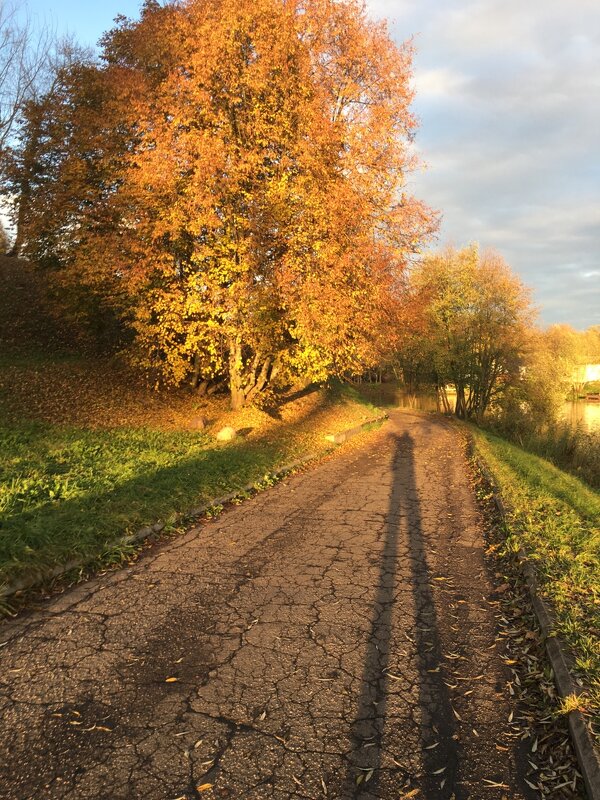 Это осень... - Владимир Павлов