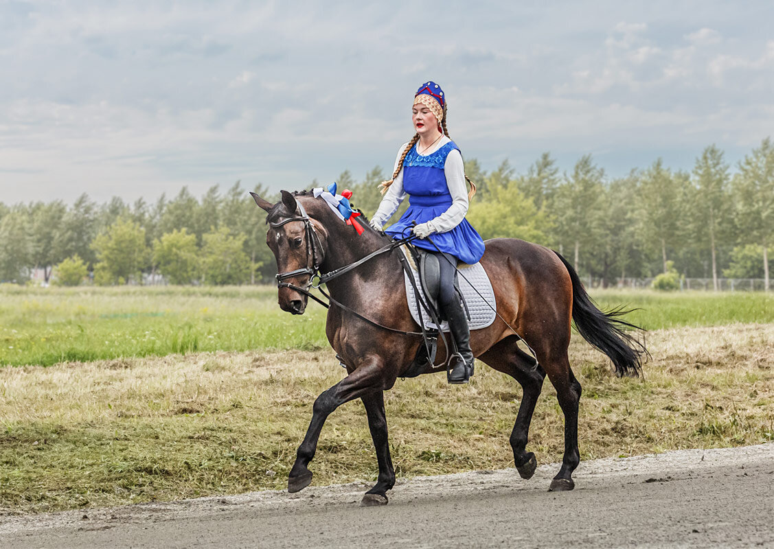 Выездка - SanSan 