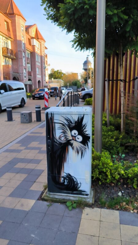 в Зеленоградске. - Ольга 