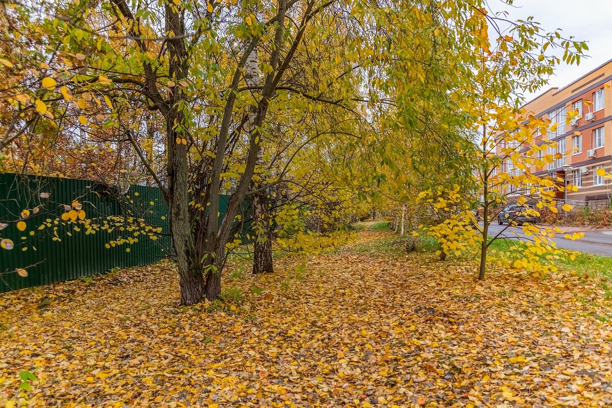 Осенний городской пейзаж - Валерий Иванович