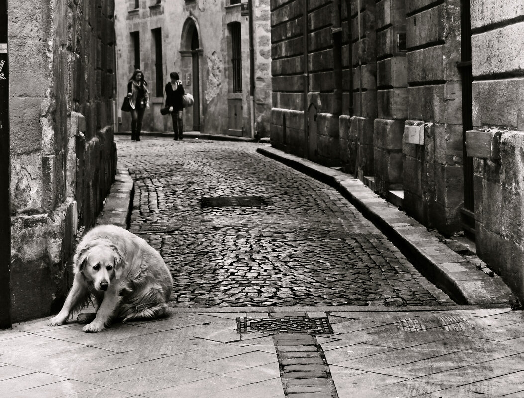 Взгляд в средевековье - СЮ 