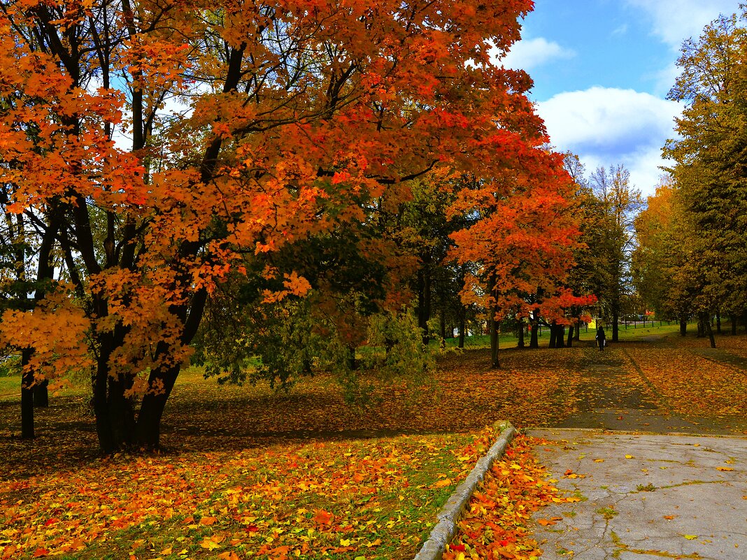 Чебоксары. Осенняя аллея сквера им. Чапаева. - Пётр Чернега