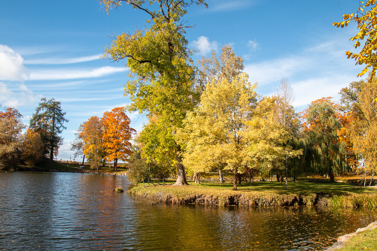 *** - Геннадий Порохов