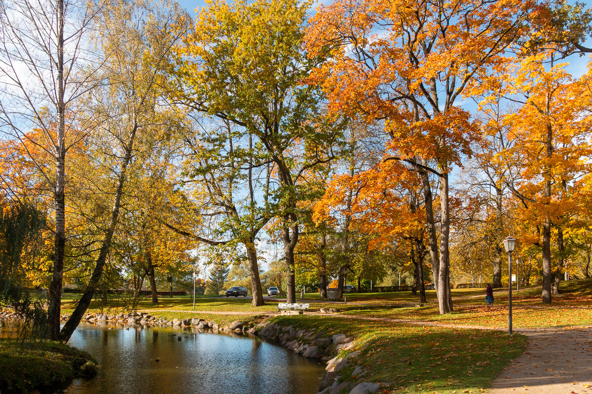 *** - Геннадий Порохов