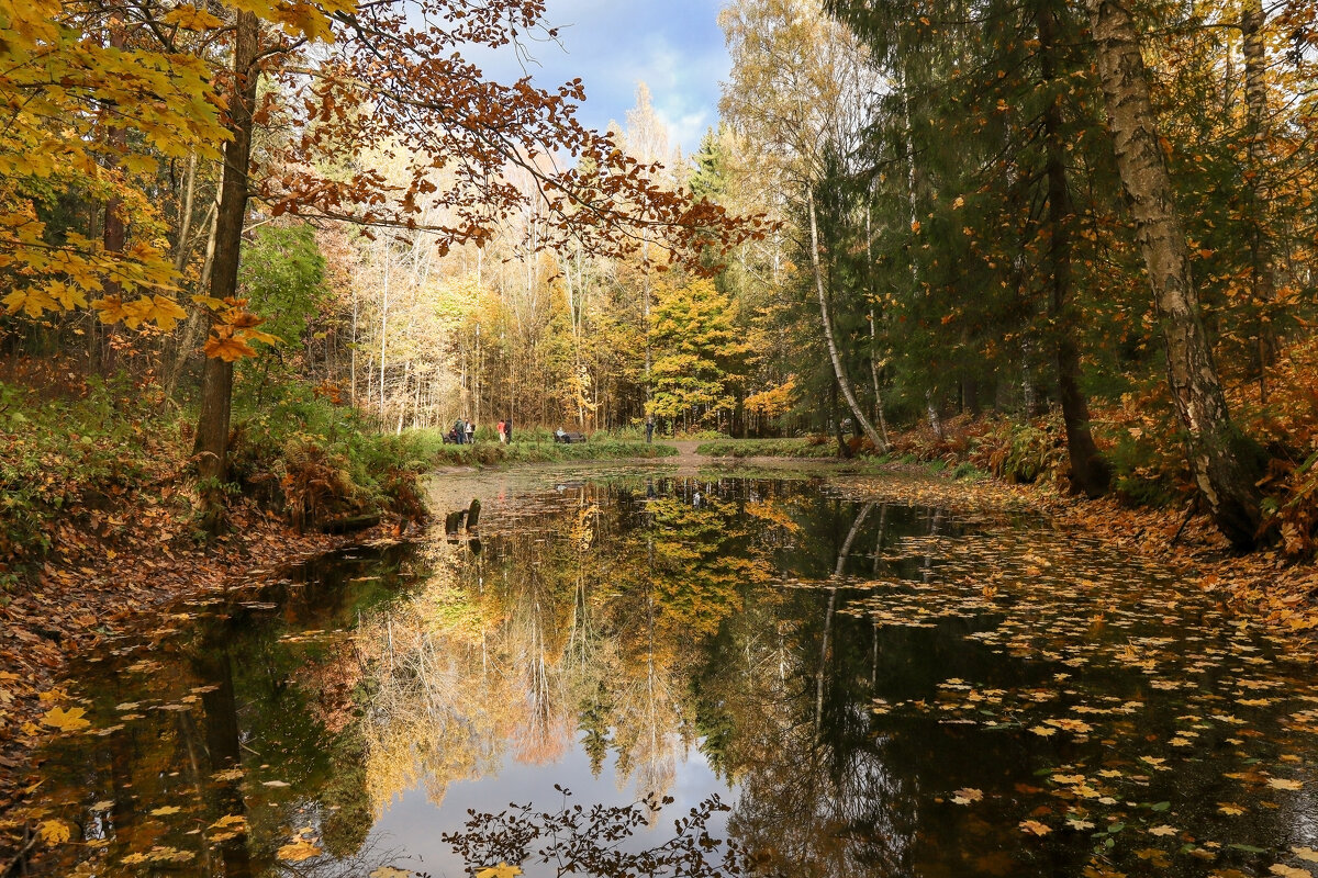 Шуваловский парк - skijumper Иванов