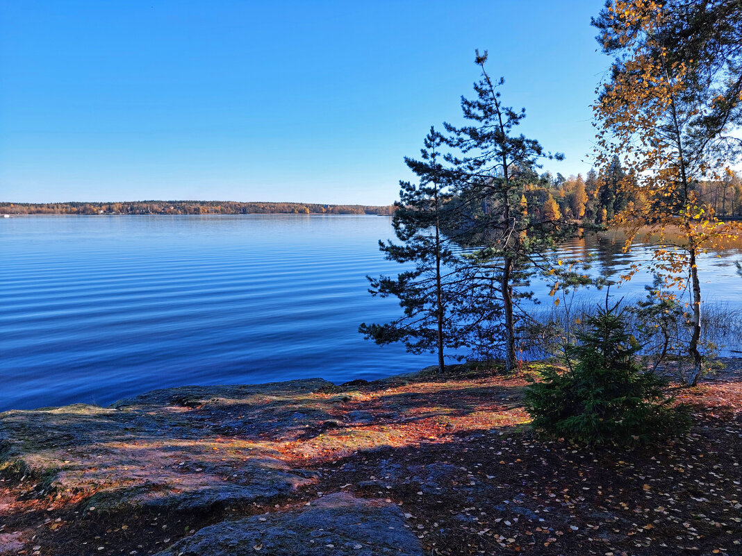 Монрепо. Бухта Защитная - Ирина Румянцева