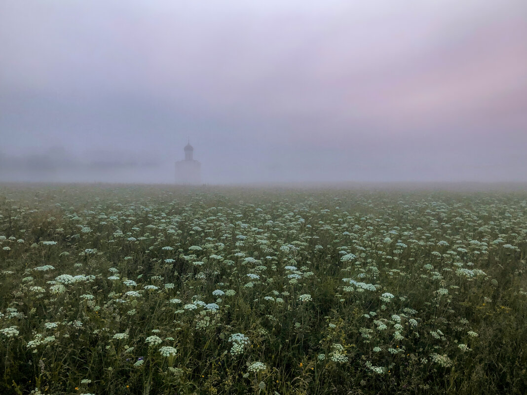 На лугу у Покрова - Александр Ковальчук