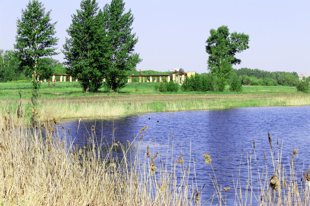 У ОЗЕРА - раиса Орловская