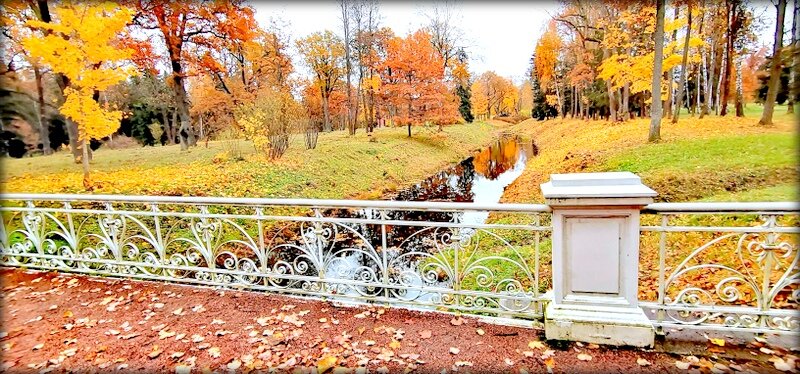 Осень золотая в парках ЦС ... - Сергей 