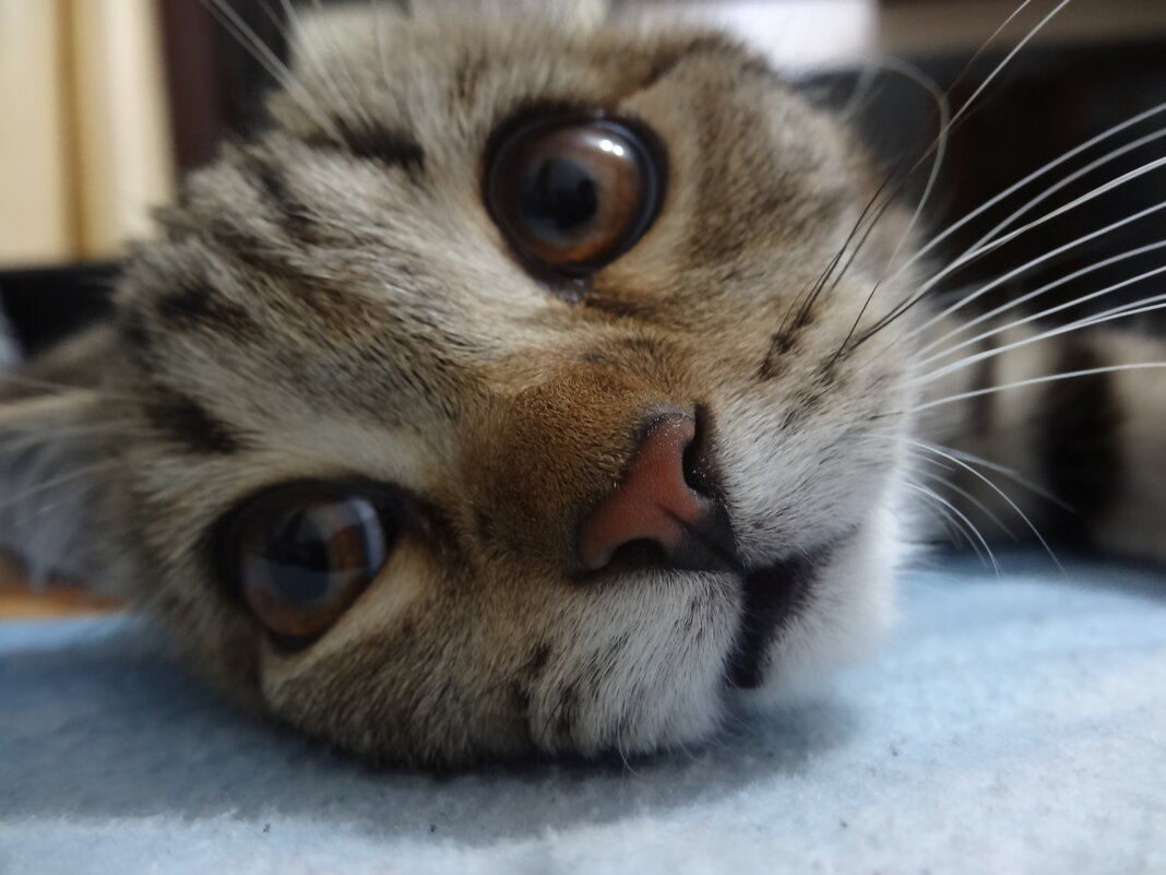 МУРЗИК - СЕРГЕЙ ФИЛОЧКИН