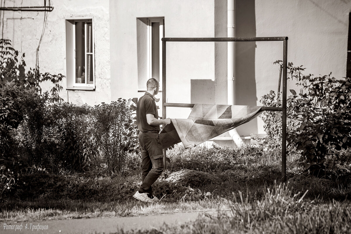 Ковёр - Алексей Трифонов Ковёр - Алексей Трифонов