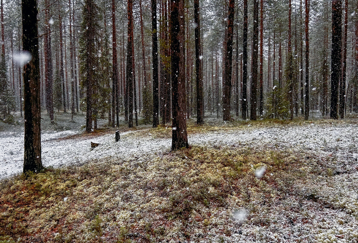 Вот и лето прошло - Дмитрий Иванов