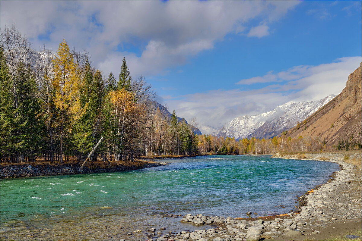 **** - Алексей Мезенцев