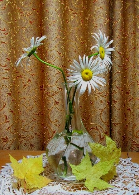 Ромашки   ноября... - Галина Кузьмина