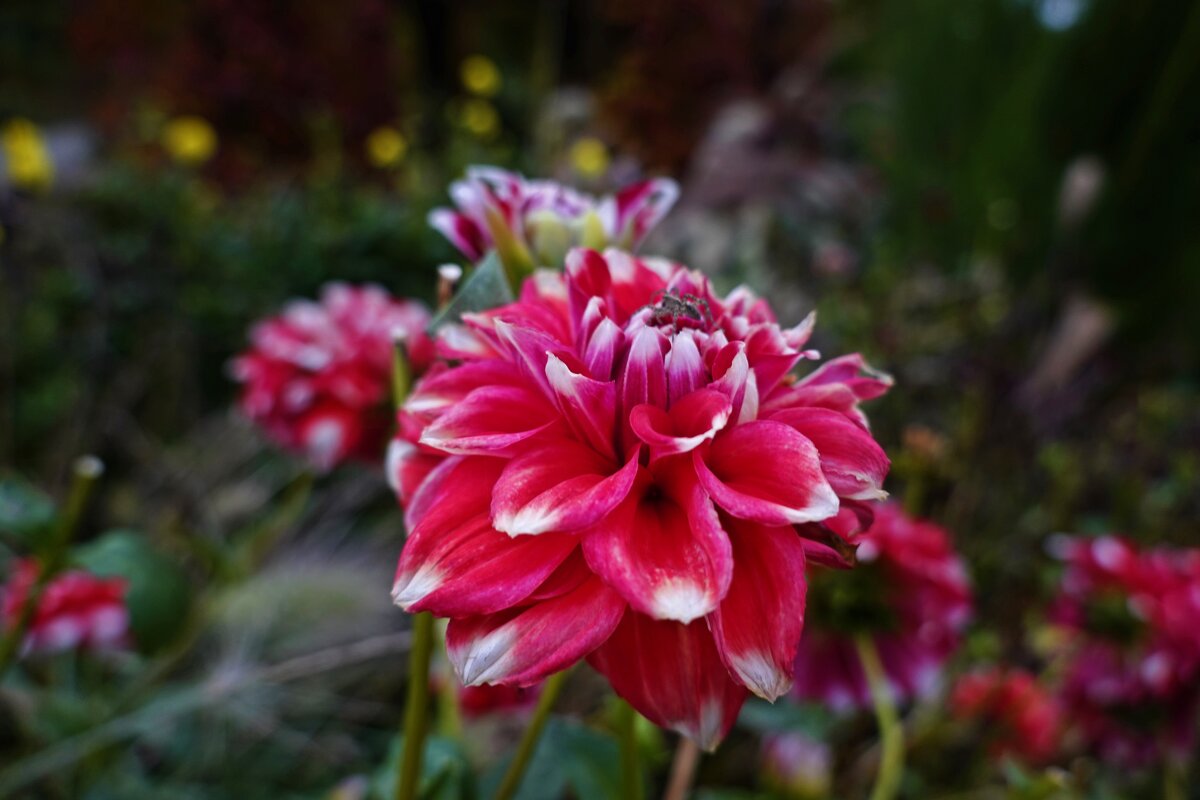 ... - Галина ... - Галина