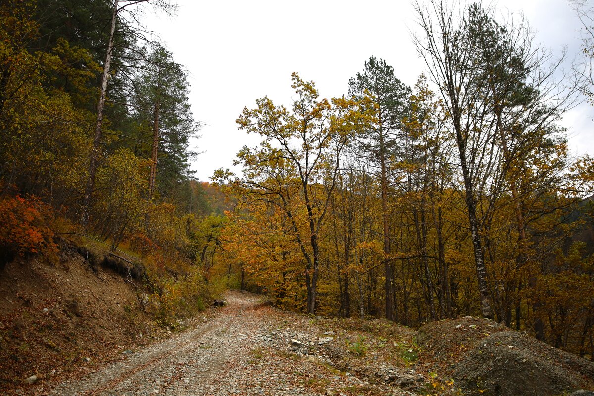 Осень в горах - Evgeny Mameev