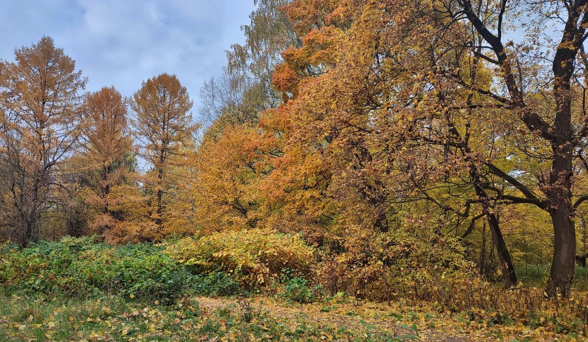 Осень - Наталья Лакомова