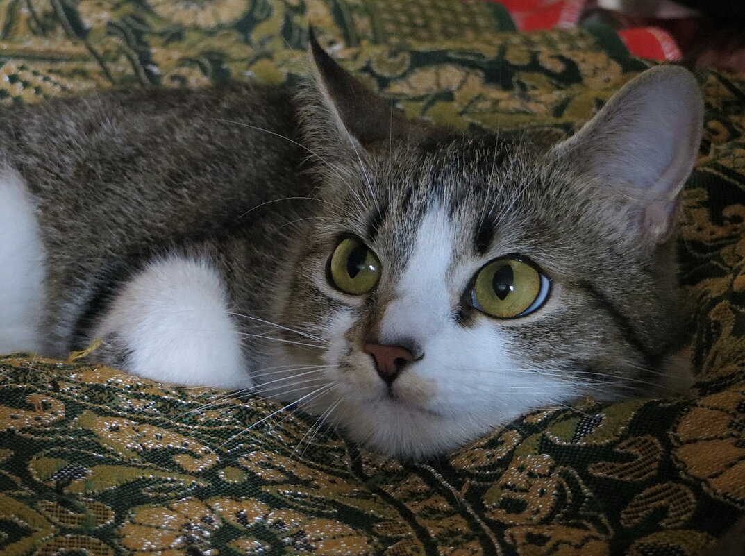 Машуленька. - Александр Лад