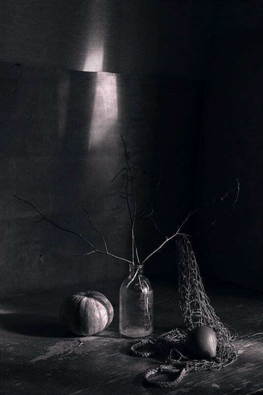 Черно-белый натюрморт - Валентина Черно-белый натюрморт - Валентина