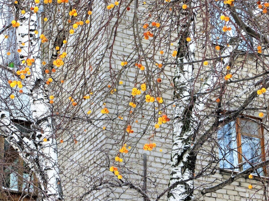 *** - Лариса С.