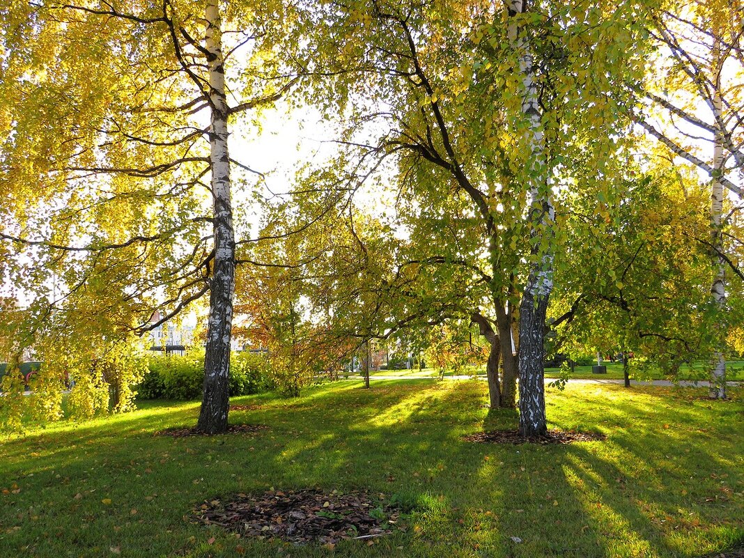 *** - Лариса С. *** - Лариса С.