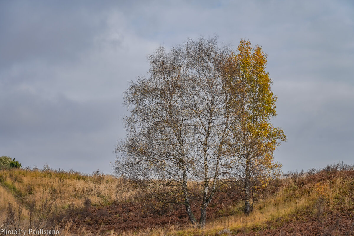 Под небом октября... - Владимир Жданов